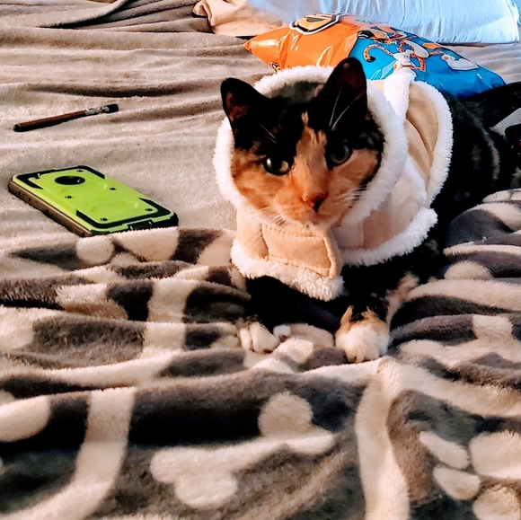 Meet your Posher, Victoria - Picture 9 of 16